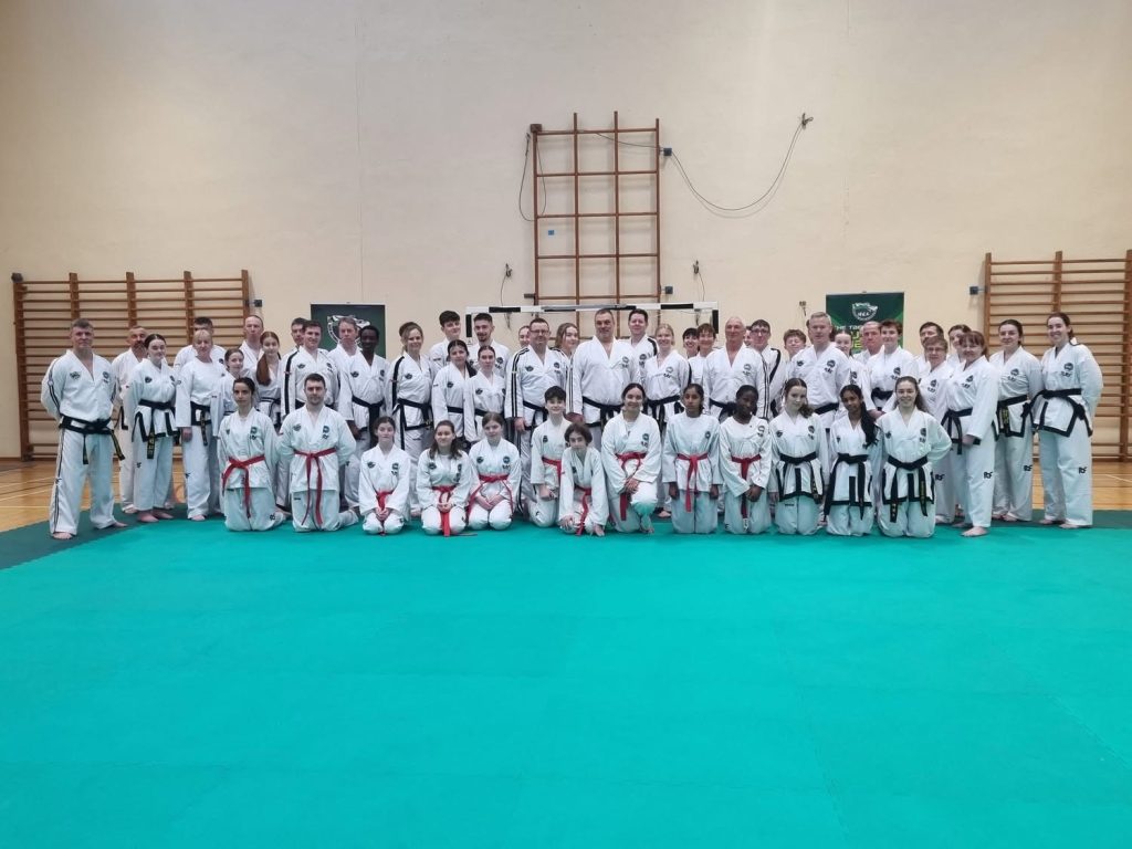 Seminar in Ireland by Master Meyour and Sabum Sjövall2