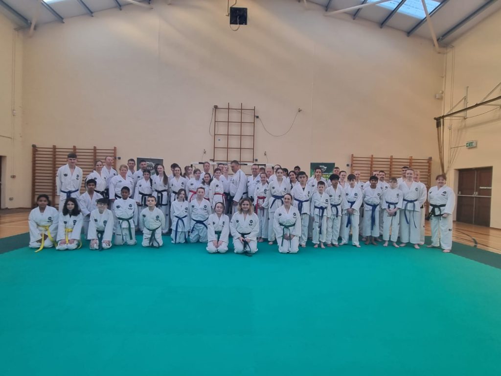 Seminar in Ireland by Master Meyour and Sabum Sjövall